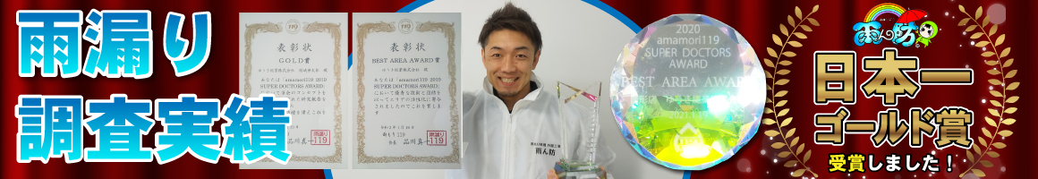 【雨漏り調査実績日本一】のゴールド賞を受賞しました！
