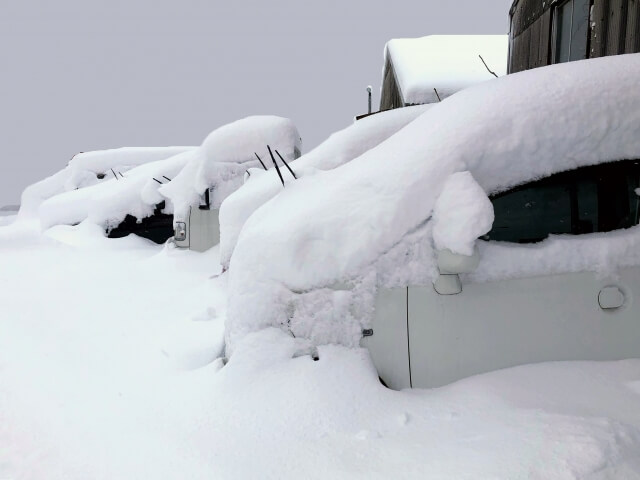 雪害　大雪